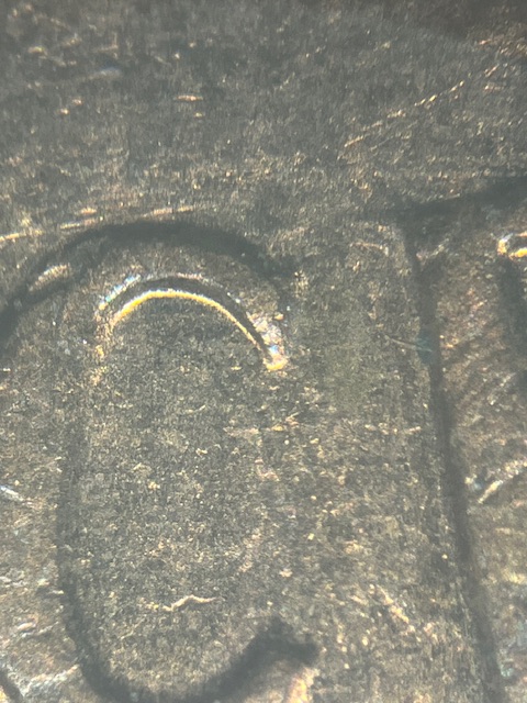 Lincoln-Cents-1963--Dot-C--Or-Shards-C-?